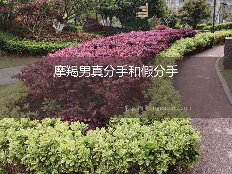 摩羯男真分手和假分手