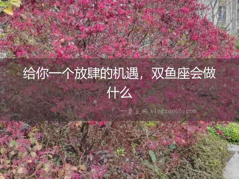 給你一個放肆的機遇，雙魚座會做什么