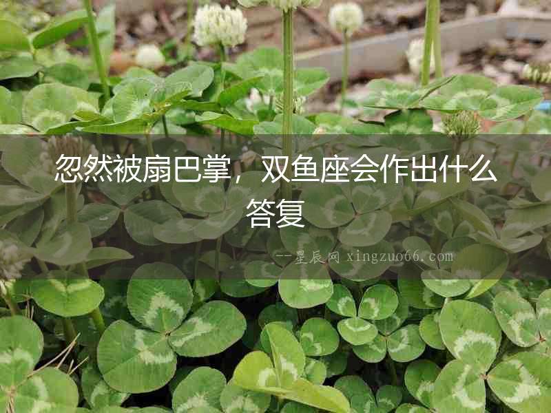 忽然被扇巴掌，雙魚座會作出什么答復
