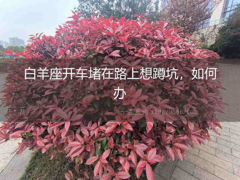 白羊座開車堵在路上想蹲坑，如何辦