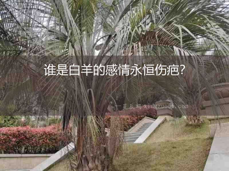 誰是白羊的感情永恒傷疤？