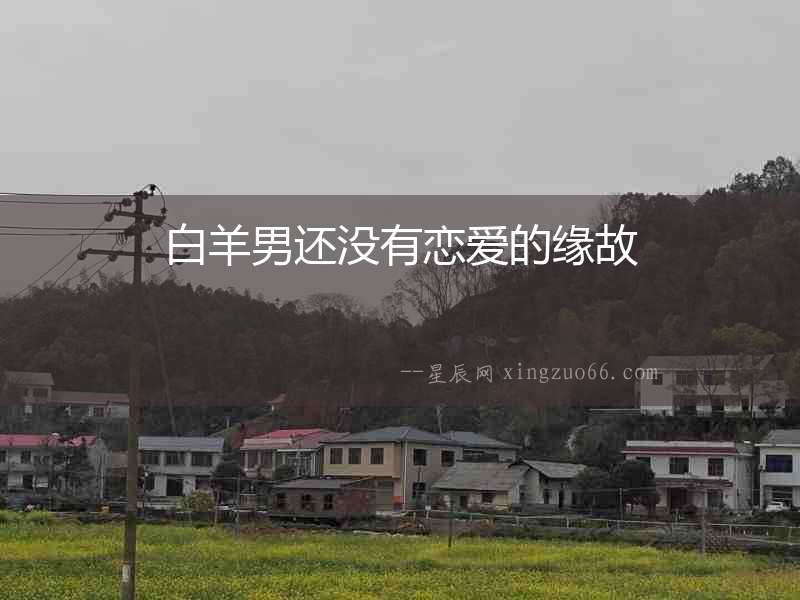 白羊男還沒有戀愛的緣故