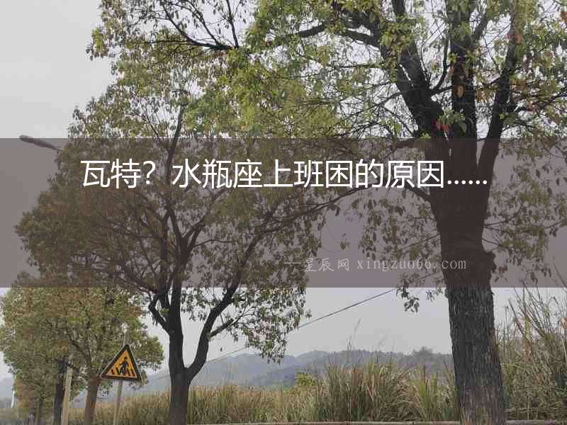 瓦特？水瓶座上班困的原因......