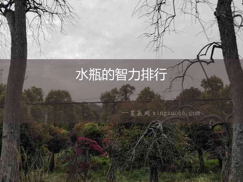 水瓶的智力排行