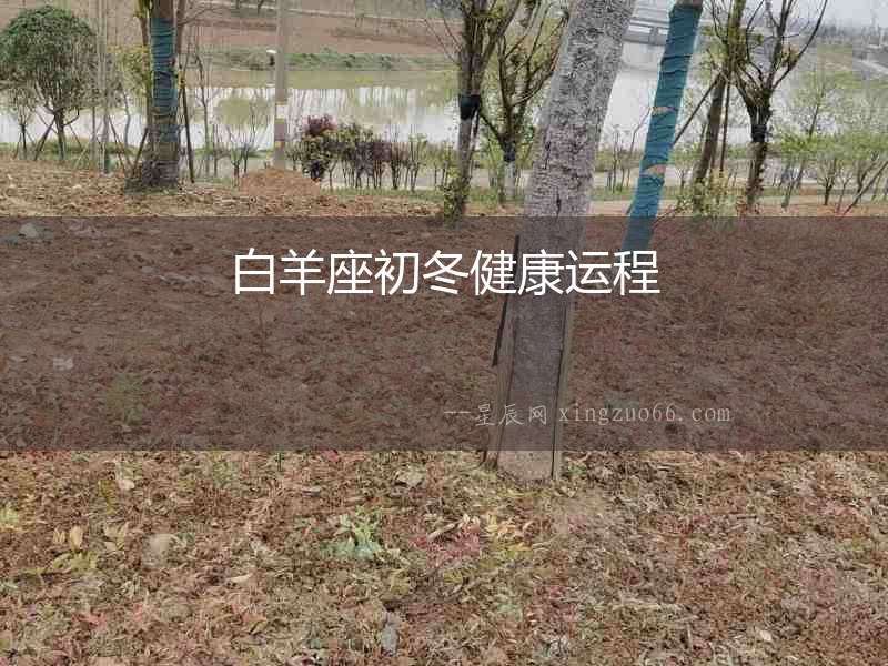 白羊座初冬健康運(yùn)程