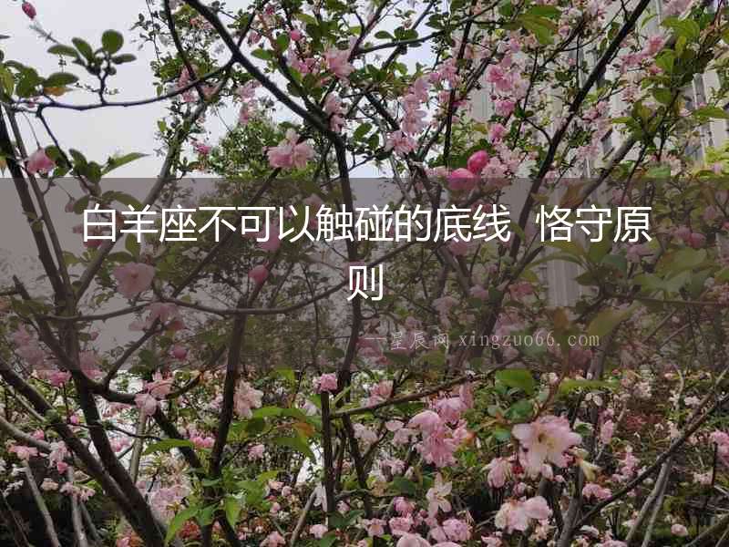 白羊座不可以觸碰的底線  恪守原則