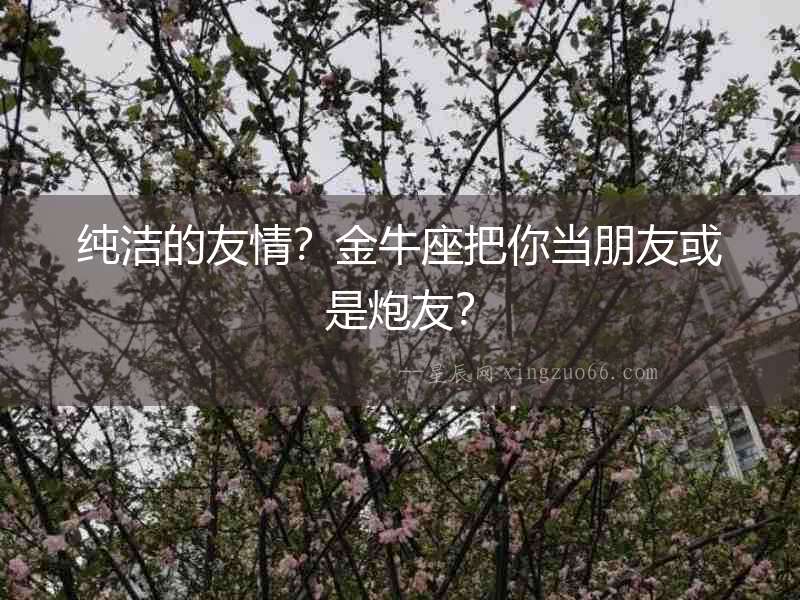 純潔的友情？金牛座把你當朋友或是炮友？