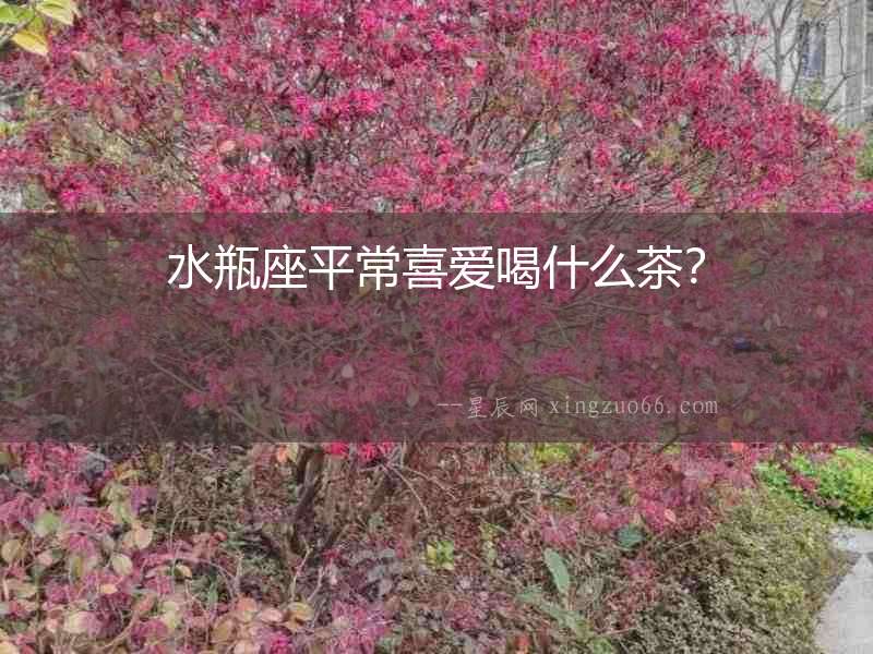 水瓶座平常喜愛喝什么茶？