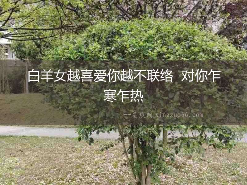 白羊女越喜愛你越不聯絡  對你乍寒乍熱