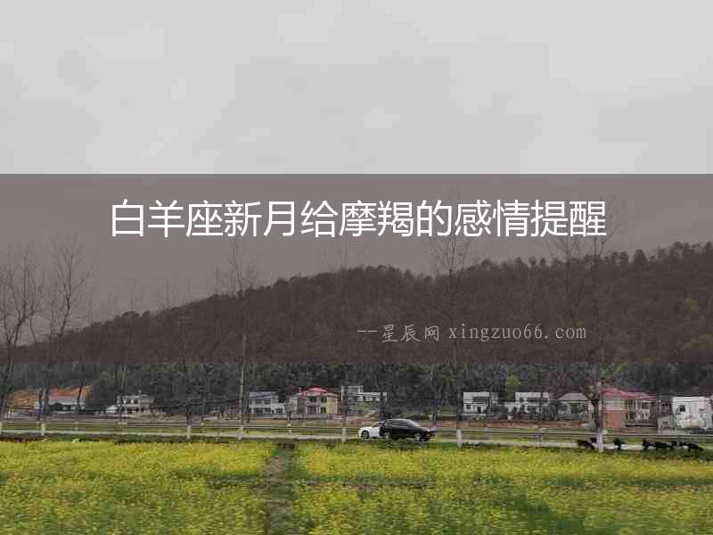 白羊座新月給摩羯的感情提醒