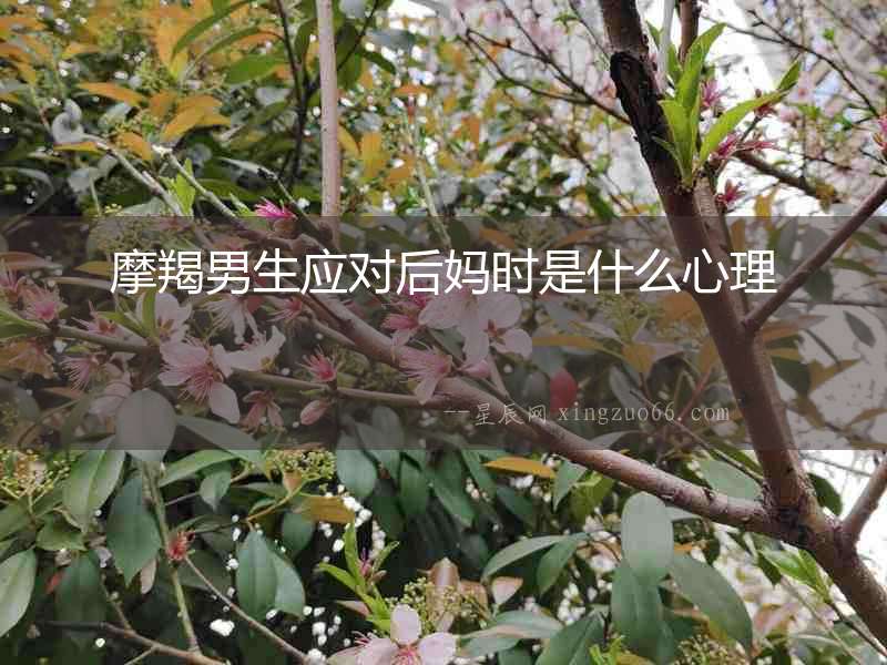 摩羯男生應(yīng)對后媽時是什么心理