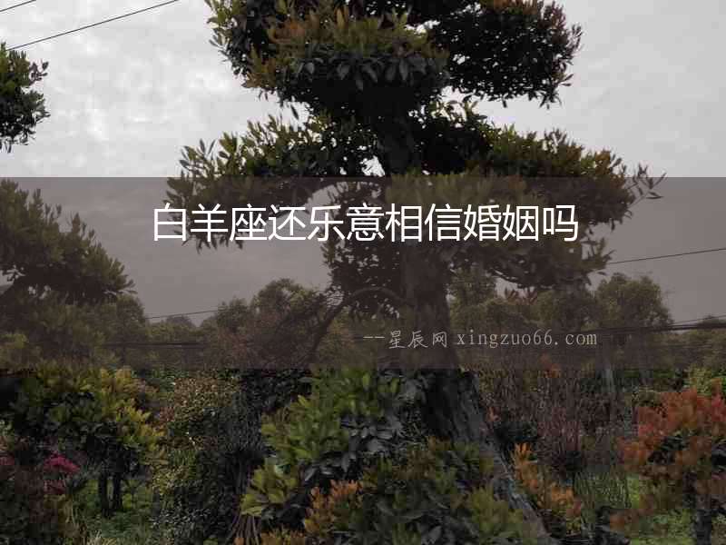 白羊座還樂意相信婚姻嗎