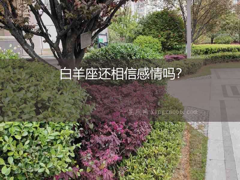 白羊座還相信感情嗎？