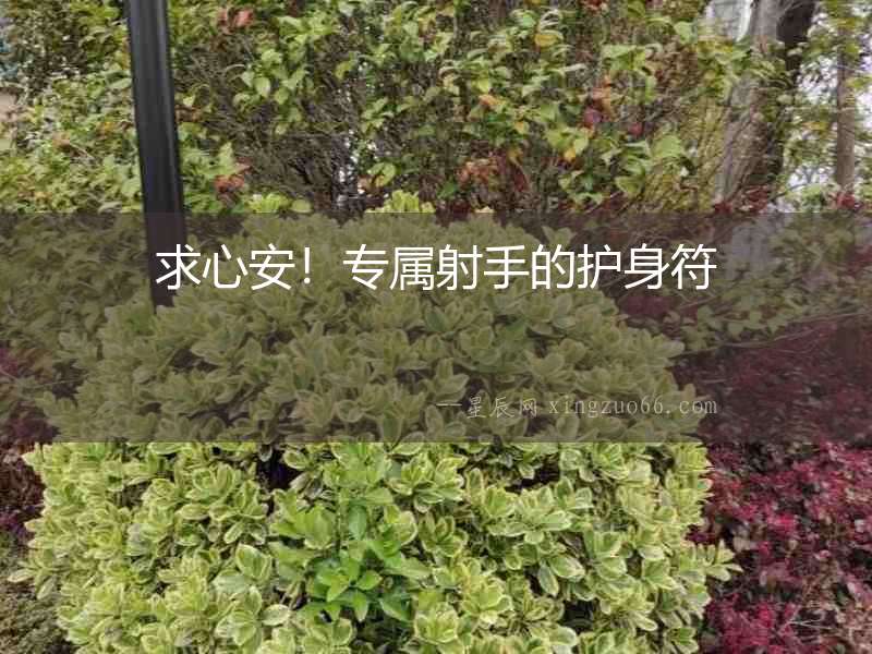 求心安！專屬射手的護身符