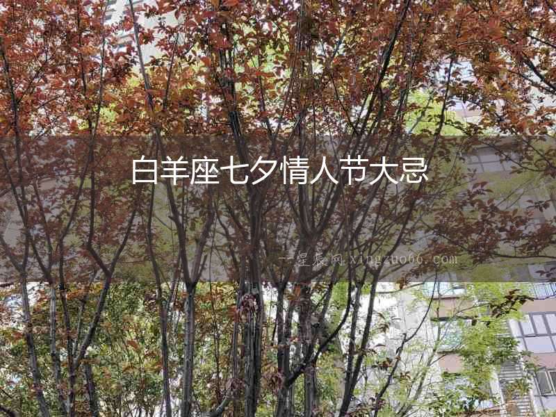 白羊座七夕情人節(jié)大忌