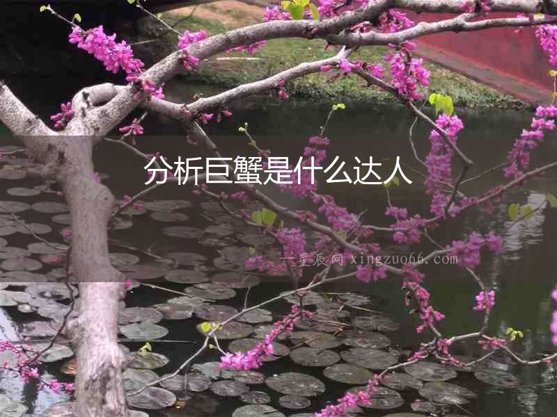 分析巨蟹是什么達(dá)人