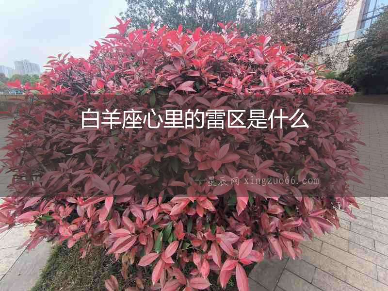 白羊座心里的雷區是什么