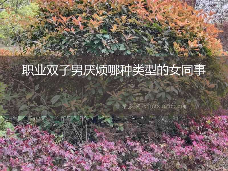 職業(yè)雙子男厭煩哪種類型的女同事