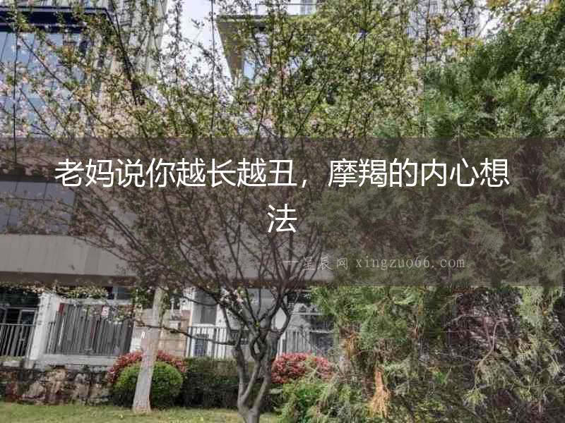 老媽說你越長越丑，摩羯的內心想法