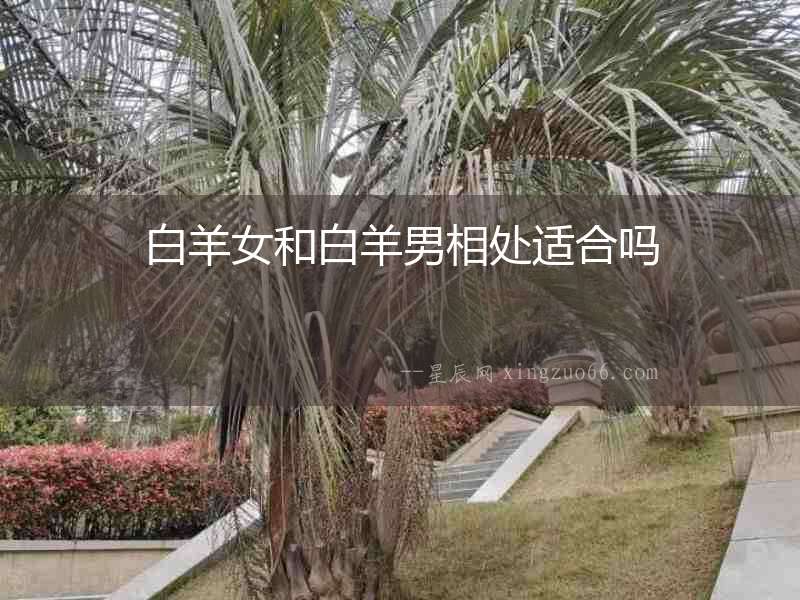 白羊女和白羊男相處適合嗎