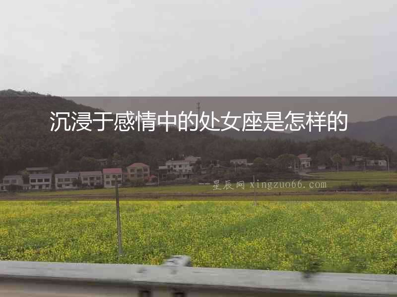 沉浸于感情中的處女座是怎樣的