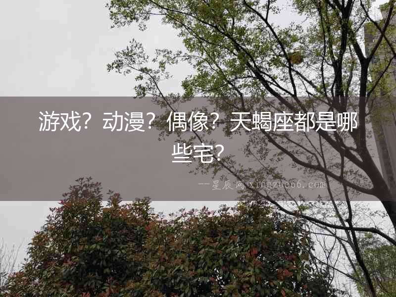 游戲？動漫？偶像？天蝎座都是哪些宅？