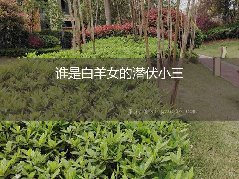 誰是白羊女的潛伏小三