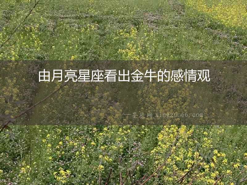 由月亮星座看出金牛的感情觀