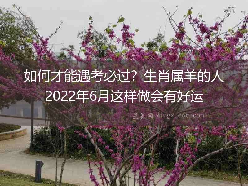 如何才能遇考必過？生肖屬羊的人2022年6月這樣做會有好運