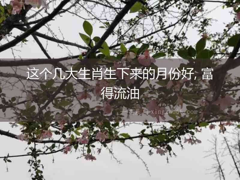 這個幾大生肖生下來的月份好, 富得流油