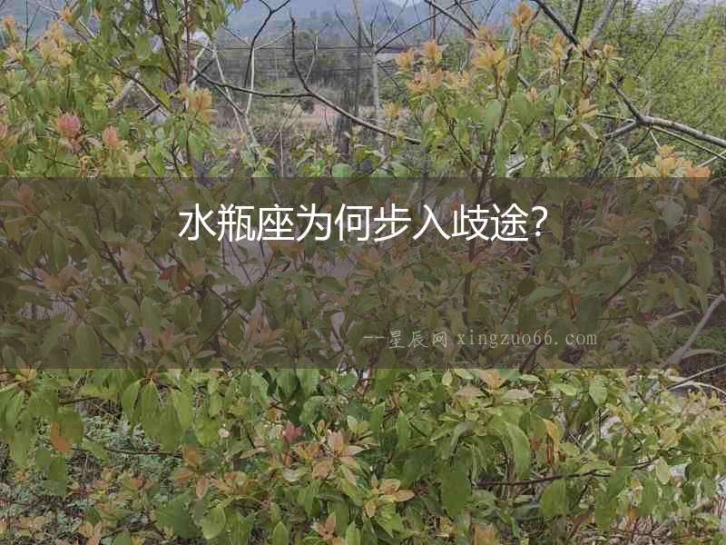 水瓶座為何步入歧途？