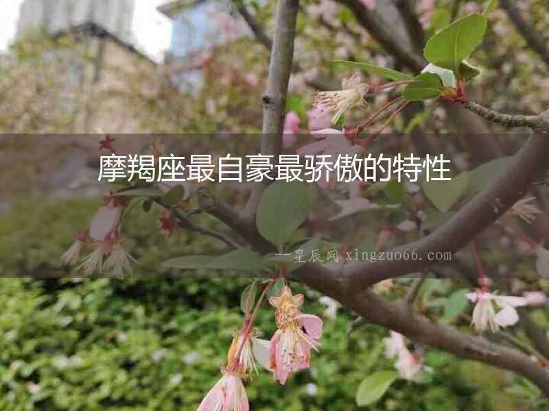 摩羯座最自豪最驕傲的特性