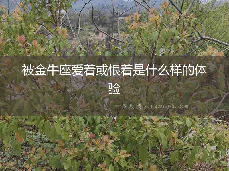 被金牛座愛著或恨著是什么樣的體驗