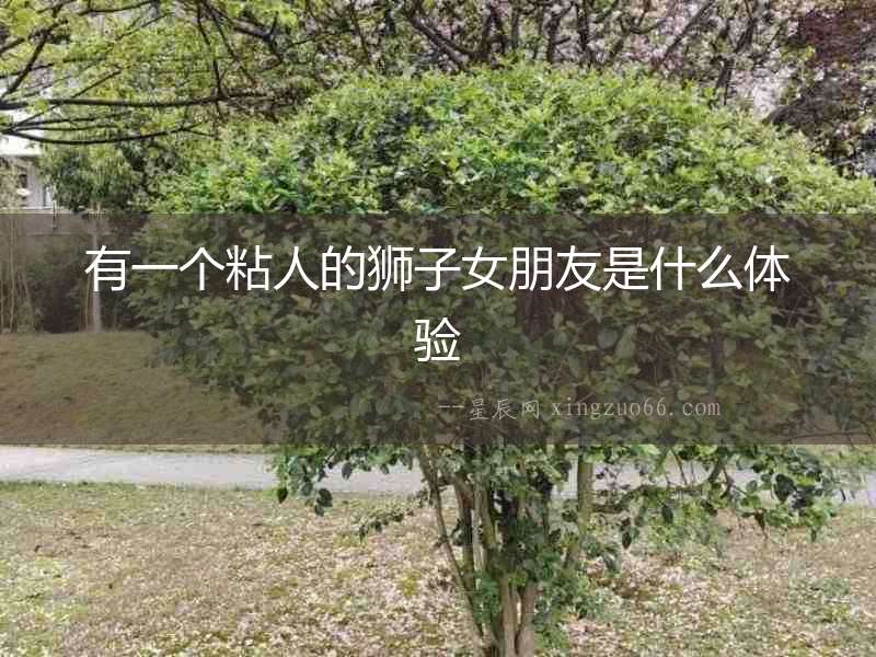 有一個粘人的獅子女朋友是什么體驗