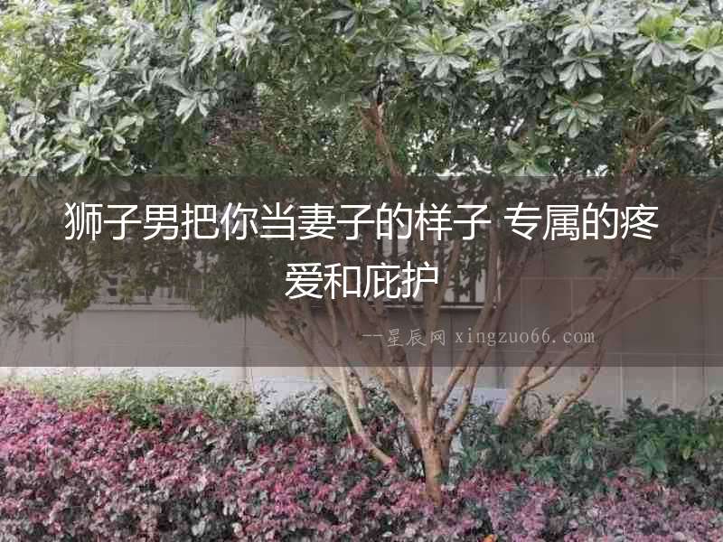 獅子男把你當(dāng)妻子的樣子 專屬的疼愛和庇護(hù)