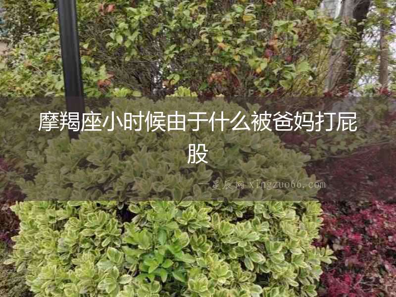 摩羯座小時候由于什么被爸媽打屁股