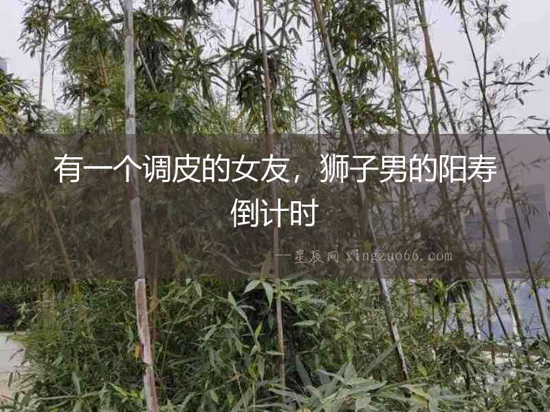 有一個調皮的女友，獅子男的陽壽倒計時