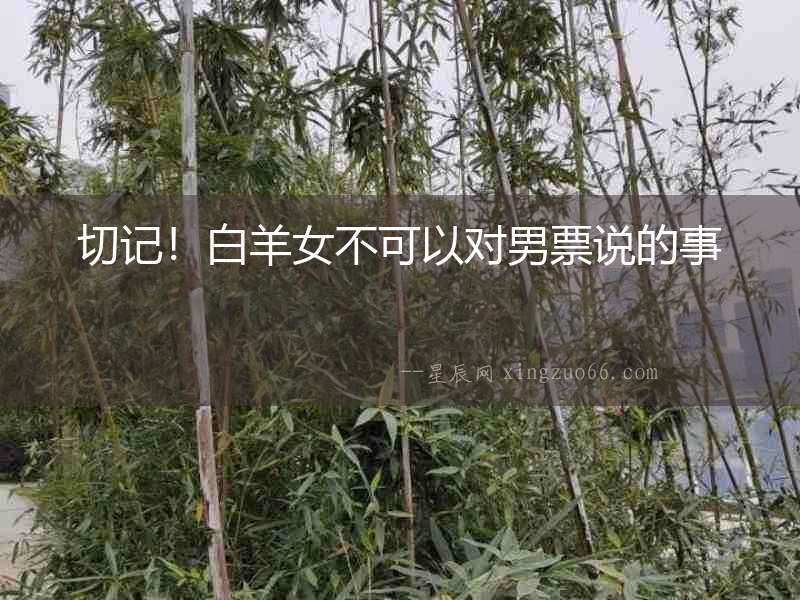 切記！白羊女不可以對男票說的事