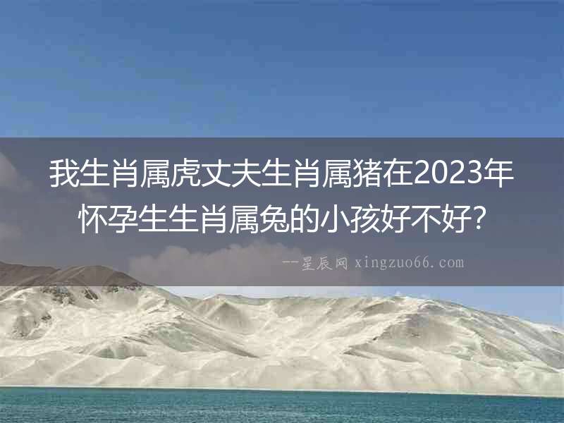 我生肖屬虎丈夫生肖屬豬在2023年懷孕生生肖屬兔的小孩好不好？