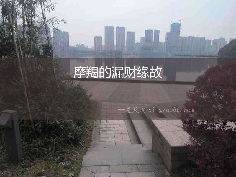 摩羯的漏財緣故