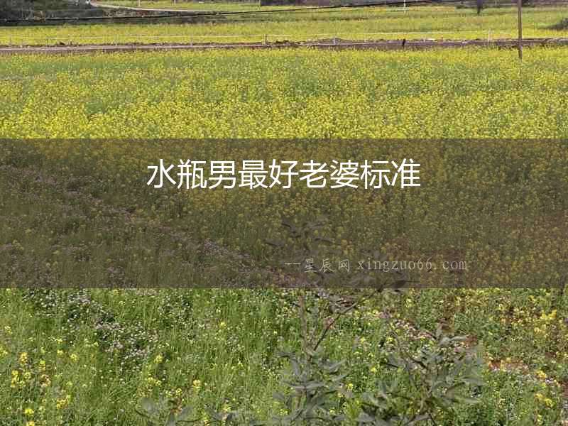 水瓶男最好老婆標準