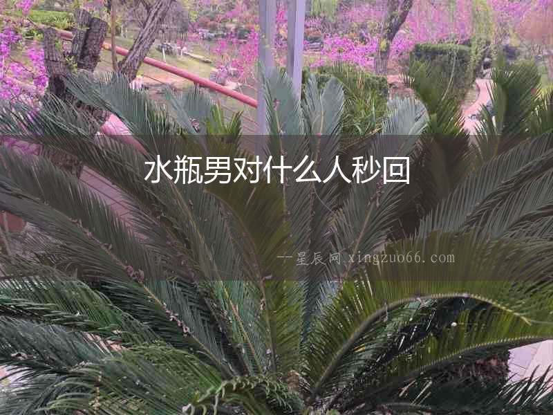 水瓶男對什么人秒回