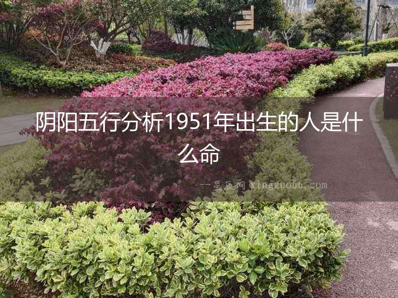 陰陽五行分析1951年出生的人是什么命