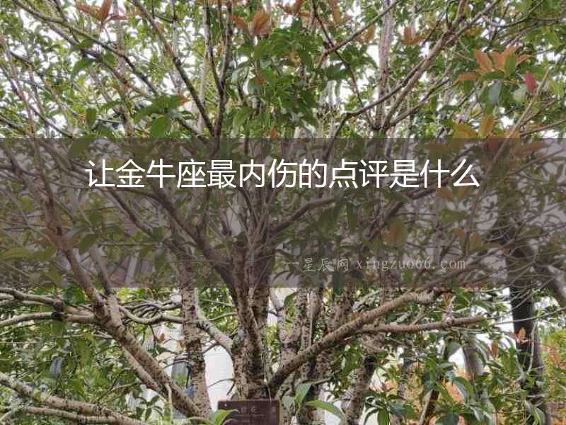 讓金牛座最內傷的點評是什么