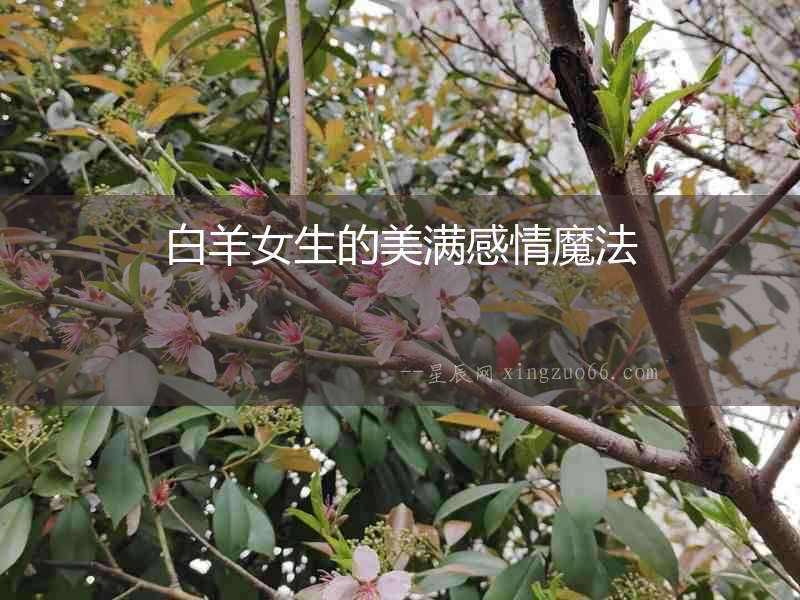 白羊女生的美滿感情魔法