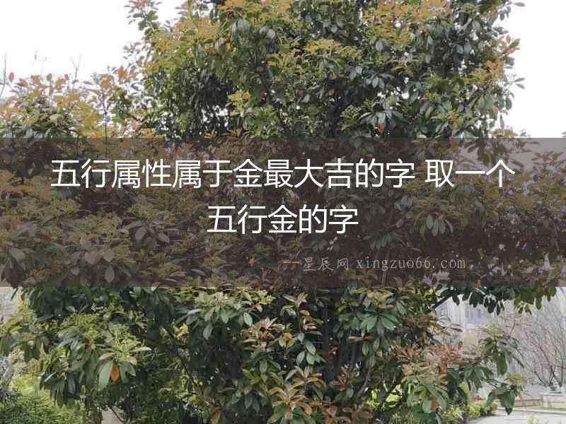 五行屬性屬于金最大吉的字 取一個五行金的字