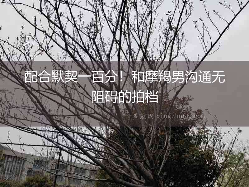 配合默契一百分！和摩羯男溝通無(wú)阻礙的拍檔
