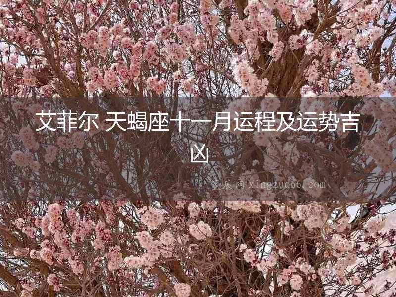 艾菲爾 天蝎座十一月運程及運勢吉兇