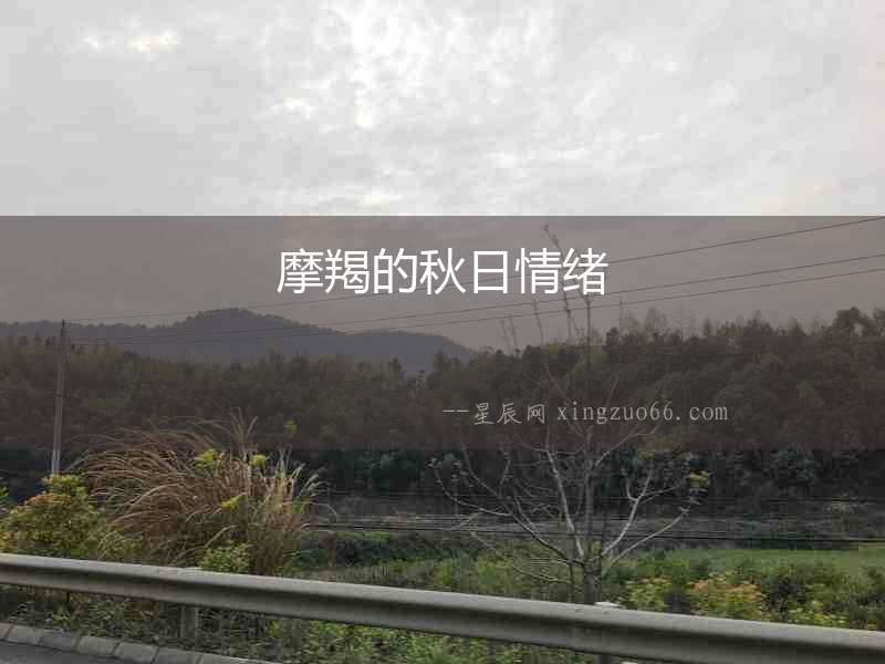 摩羯的秋日情緒