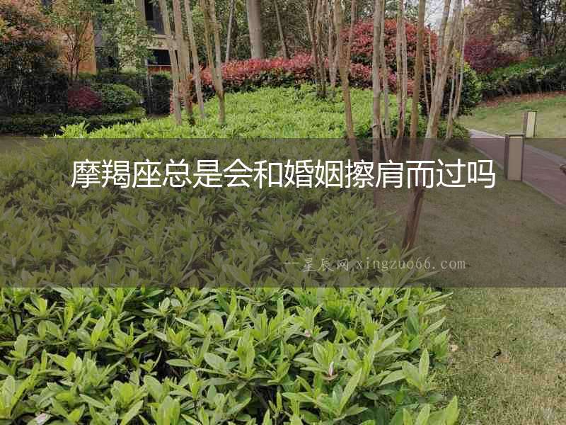 摩羯座總是會(huì)和婚姻擦肩而過嗎
